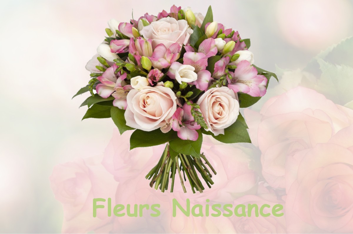 fleurs naissance MEZOS