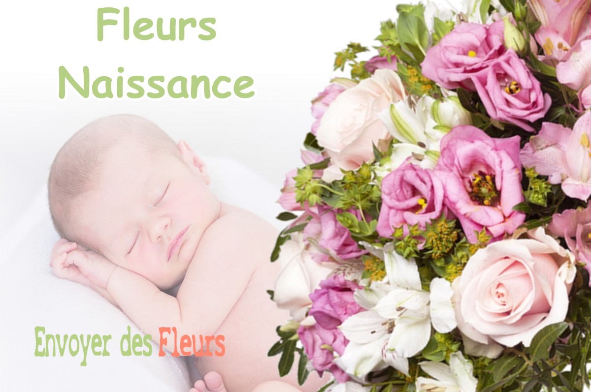 lIVRAISON FLEURS NAISSANCE à MEZOS